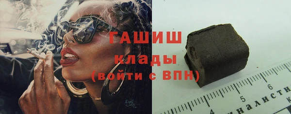стаф Алзамай