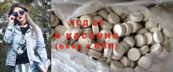 стаф Алзамай