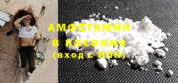 стаф Алзамай