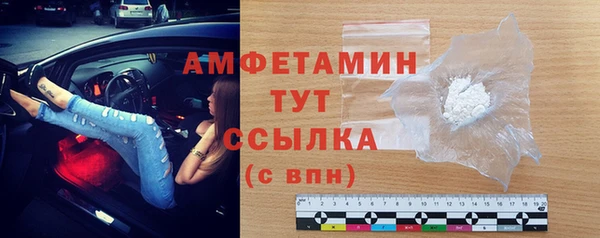 стаф Алзамай
