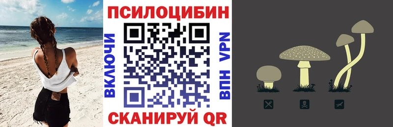 сколько стоит  Ветлуга  Галлюциногенные грибы MAGIC MUSHROOMS 